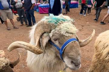 Los Llanos celebra el día grande de sus fiestas (Foto TA)